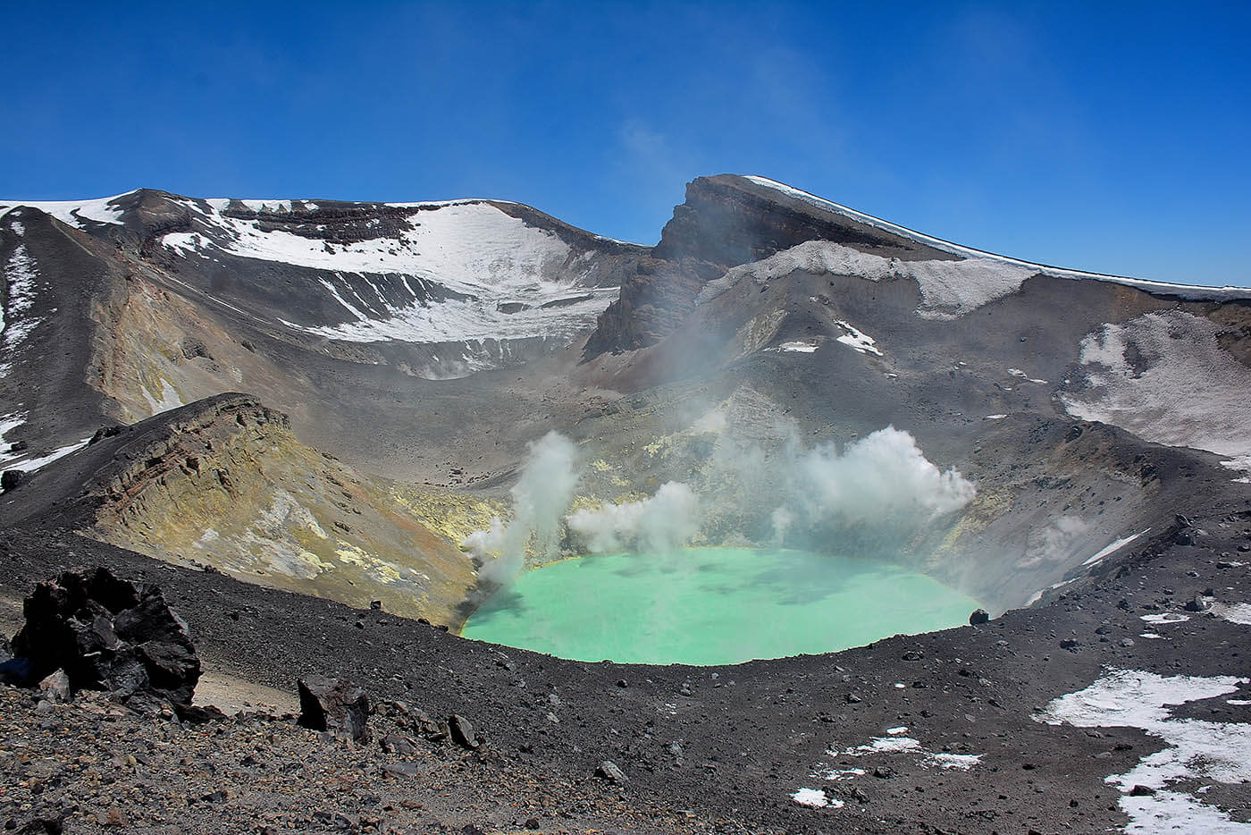 Ximena Salazar Ximena Salazar