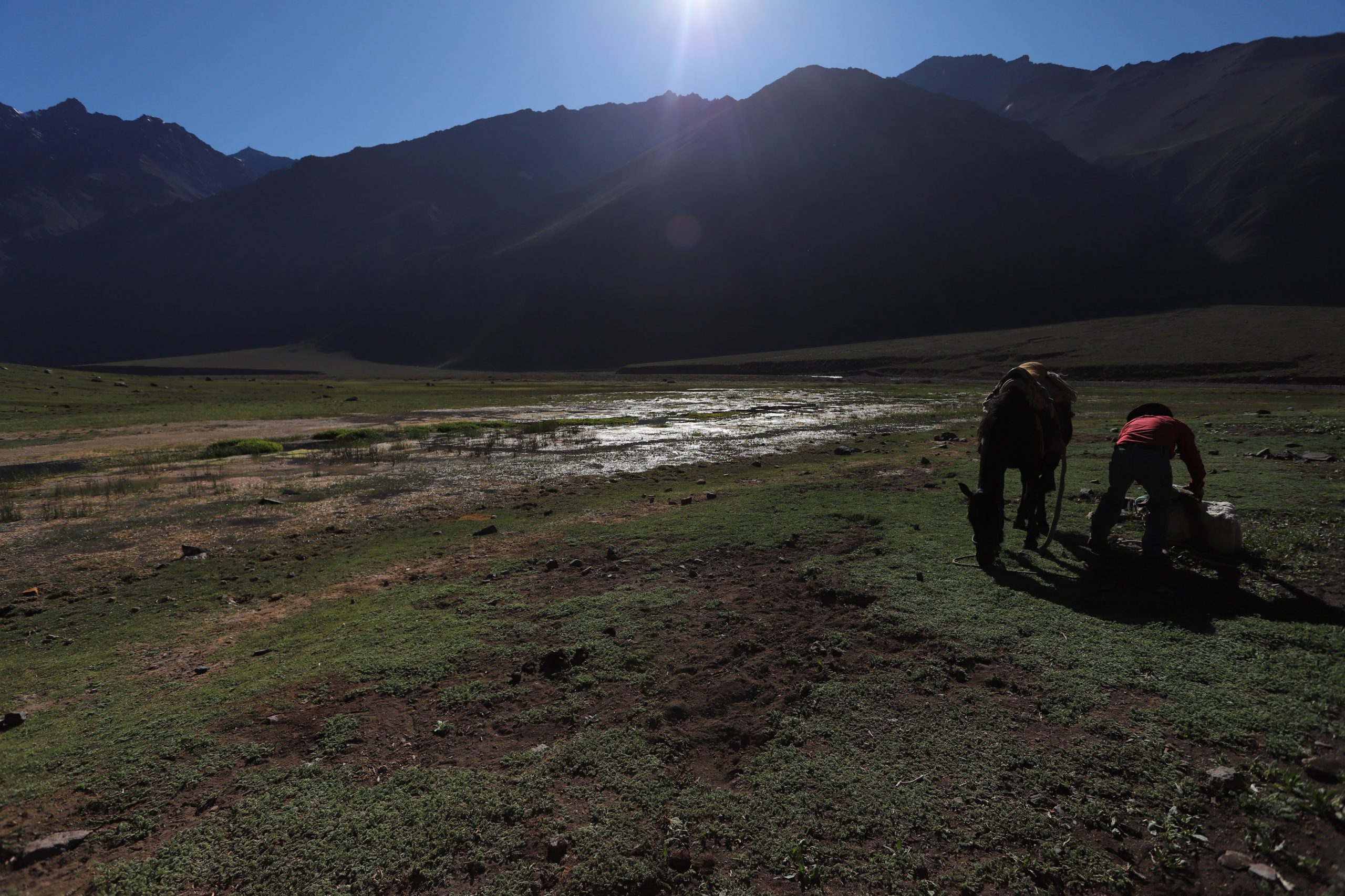 Pilar Valenzuela IMG_0083 Pilar Valenzuela IMG_0083