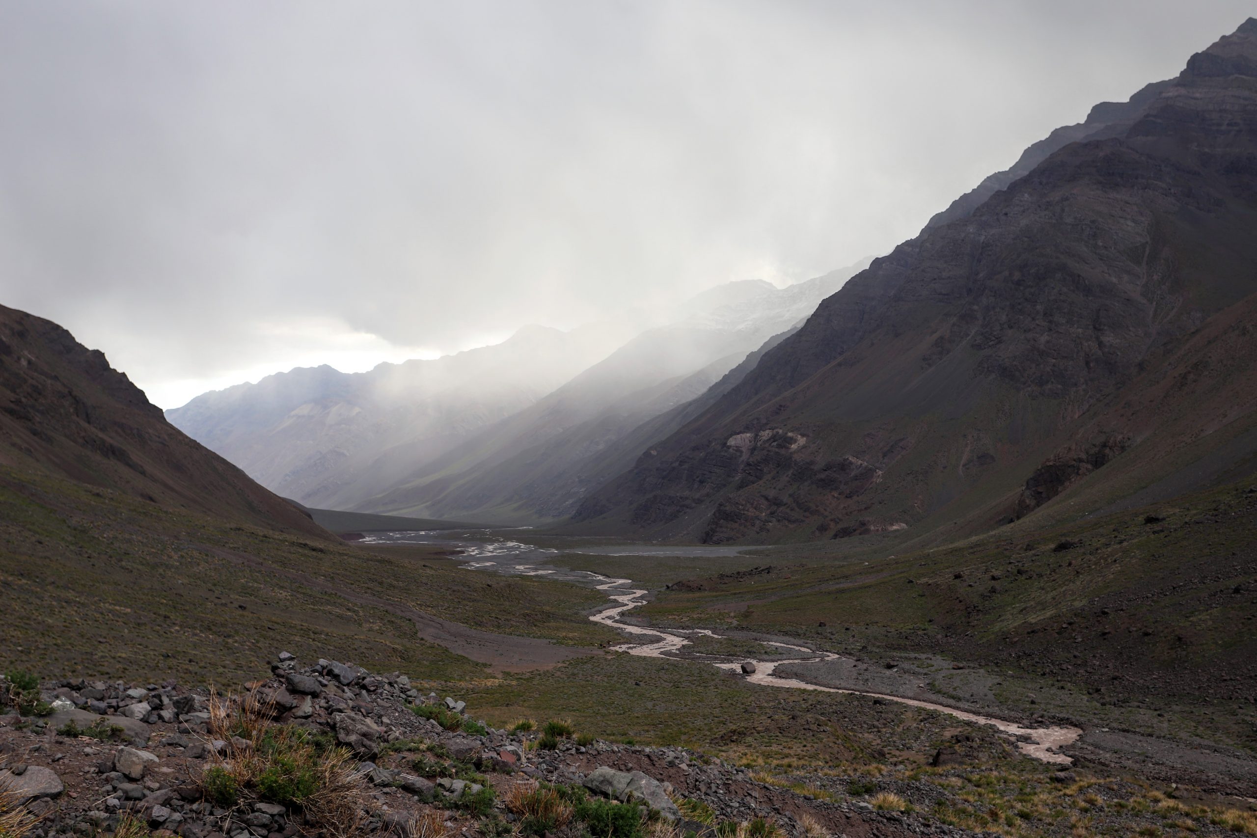 Pilar Valenzuela IMG_0137 Pilar Valenzuela IMG_0137